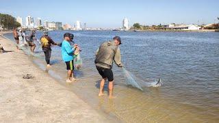 Pesca de tarrafas, 14-03-24, Barra de Tramandaí, RS. #pescadetarrafas #netfishing #pescarias #fish