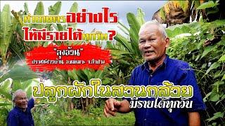 Grow vegetables in the banana plantation and earn daily. #YouTubeCreatorAwards