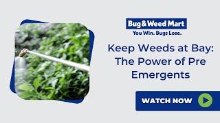 Keep Weeds at Bay: The Power of Pre Emergents