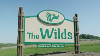 The Wilds – full video