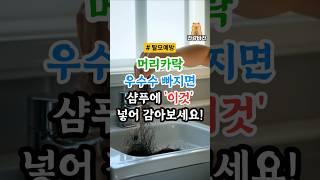 머리 감을때 샴푸에 '이것' 넣어 감아보세요! 30년은 젊어집니다!(저속노화)