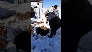 БУРЕНИЕ КОЛОДЦА СМОТРЕТЬ ВСЕМ ОТ НАЧАЛА ДО КОНЦА.ЧЕХОВСКИЙ РАЙОН.ШАРАПОВО.