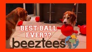 BEST BALL FOR A DOG EVER?? DOG TOY CRITIC LOUIE THE BEAGLE