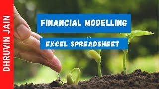 Financial Modelling by Dhruvin Jain | Fundamental Analysis Spreadsheet | How to feed the data ||