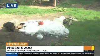 Phoenix Zoo, SRP keep zoo animals cool all summer long with 14 tons of snow