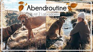 Herbst Abendroutine | mit 2 Hunden| Foxred + Chocolate Labrador  | KaroLovesMilka