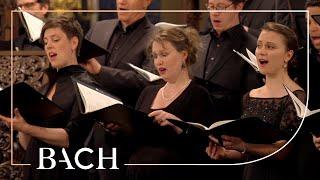 Bach - Motet Singet dem Herrn ein neues Lied BWV 225 - MacLeod | Netherlands Bach Society