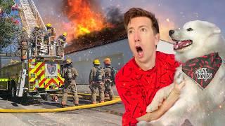 Firefighters Can’t Save My Dog