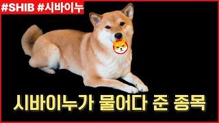 [ 시바이누SHIB ] 알트 시장에서 시바이누를 빼겠습니다.