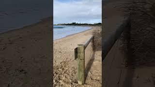 코알라와 캥거루 원주민 언어(apollo bay foreshore)