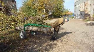 Тележка для перевозки бревен.  DIY log arch