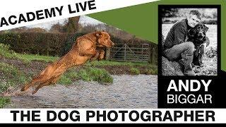 ACADEMY LIVE | Andy Biggar - The Dog Photographer