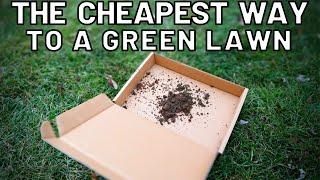 Do THIS First for a Green Lawn All Year