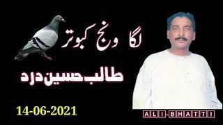 لگا ونج کبوتر Laga wanj kabootar lay | Talib Hussain Dard Mp3