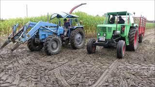 Oldtimer hakselen 2024 , New Holland 1895 en 2 x Landini met 1 rij hakselaar .