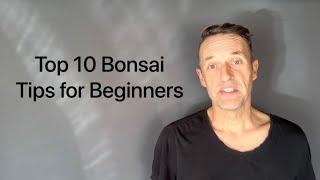 Top 10 Bonsai Tips for Beginners