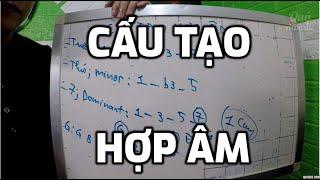 [Guitar 8] Cấu Tạo Hợp âm (Lý Thuyết và Thực Hành)