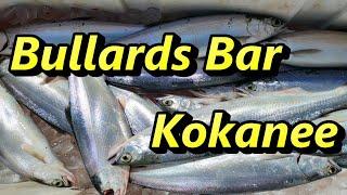 Bullards Bar Kokanee Action With Team Rustic