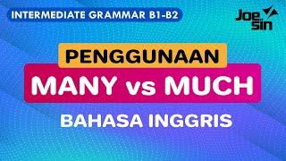 Penggunaan MUCH, MANY, LITTLE, A FEW dan LOTS OF Bahasa Inggris