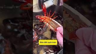 MẸO RỬA TÔM SIÊU SẠCH NHANH CHÓNG!!! #Meocuocsong #vochong #meovat