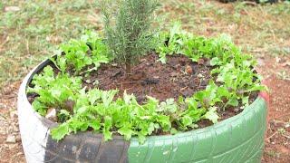 How to make a tyre garden - Farm Kenya