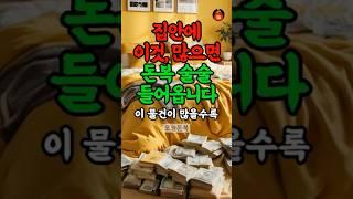 이것 많으면 집안에 재물운 상승해요 재물운, 풍수