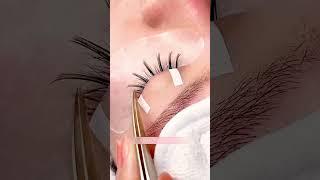Quick Wispy Lash Extensions Tutorial | ARISON LASHES