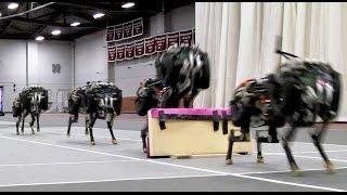 MIT cheetah robot lands the running jump