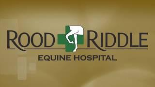 Rood & Riddle Interns