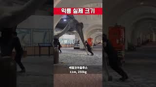 가장 큰 익룡 크기 체감하기 #shortvideo #shorts