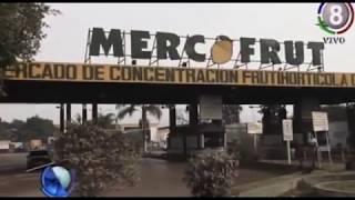 Seguridad en el Mercofrut