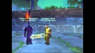 BFA / Arena 2v2 / Ret pally / old pvp legend / ️