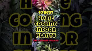 Best indoor cooling houseplants / home cooling plants for summer #indoorplants #short