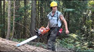 The Chainsaw that does it all! Bucking Timber.