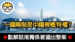 藍絲同大陸人對香港嘅誤解：一個兩制唔係特權，香港抗議唔係暴亂！