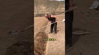 甘肃的穷，更多的是自然条件的限制，即便如此，我们也从未放弃对美好生活的追求！农村生活 记录真实生活 中药材 三农 甘肃  @抖音小助手 @DOU+小助手