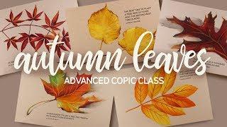 Art-Classes.com: Autumn Leaves (Copic) Advanced Class