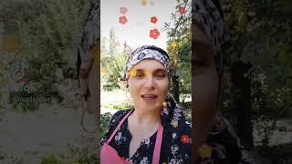 закрыть кредиты м долги реально!