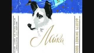 Laika - "Black Cat Bone"