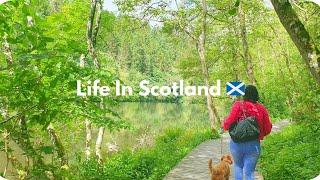 Cozy Days In My Life In Scotland | Grocery Shopping| Home Cooked Meals | Simple and Easy  Recipes