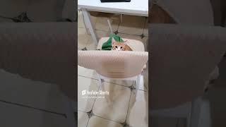 ЖИЗА, ПАПА ПЕРЕИГРАЛ #рек #youtube #mrbeast #рекомендации АВТОР ЗВУКА:@kikkadim #популярное