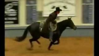 Stacy Westfall 2003 NRHA Futurity Freestyle Bridleless Reining