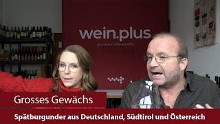 Grosses Gewächs | Nachproben 2024 | Spätburgunder aus Deutschland, Südtirol und Österreich