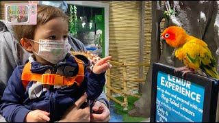 Visiting Austin Aquarium: Fun family activity in Austin Texas 오스틴 수족관에 다녀왔어요.