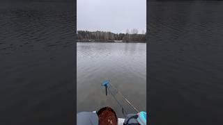 Закрыли сезон открытой воды! #рыбалка #строгино #фишермания #фидер #shorts #shortvideo