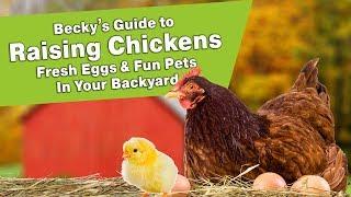 Becky's Guide to Raising Chickens - Fresh Eggs & Fun Pets In Your Backyard