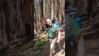 похід в гори з собаками