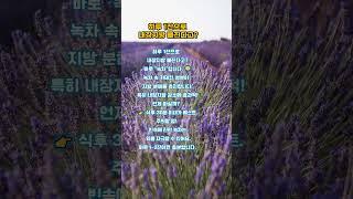 이거 1잔으로 내장지방이 빠진다고?