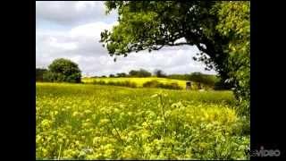 Michele Marelli ~ Relaxation Music ~ "Blossom of Dreams" ~ Healing Music, Meditation Music