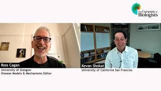 DMM Editor Ross Cagan interviews Kevan Shokat for the RAS Pathways Special Issue